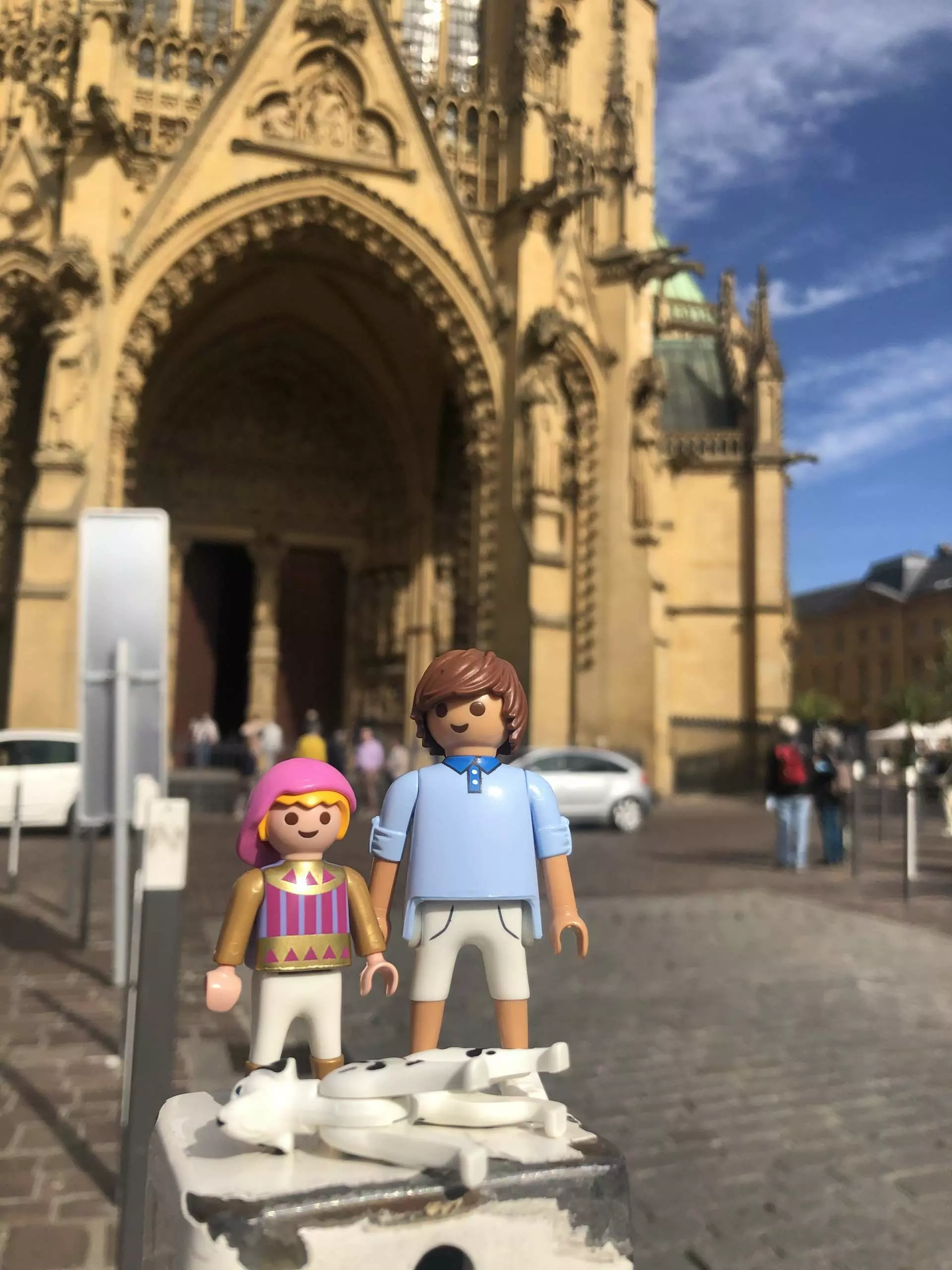 Formations Tams Consultants (7)