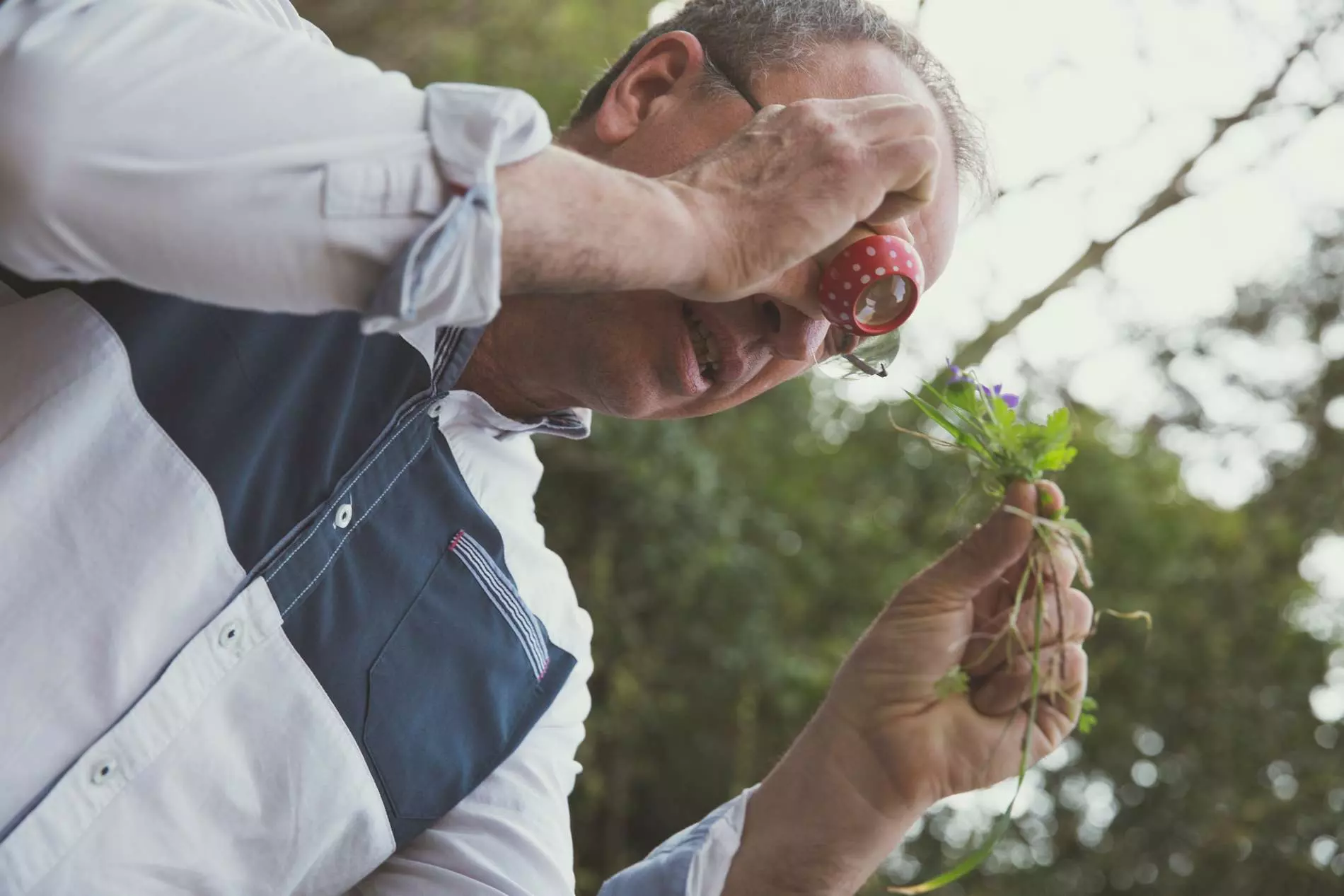 Tams Consultants-040