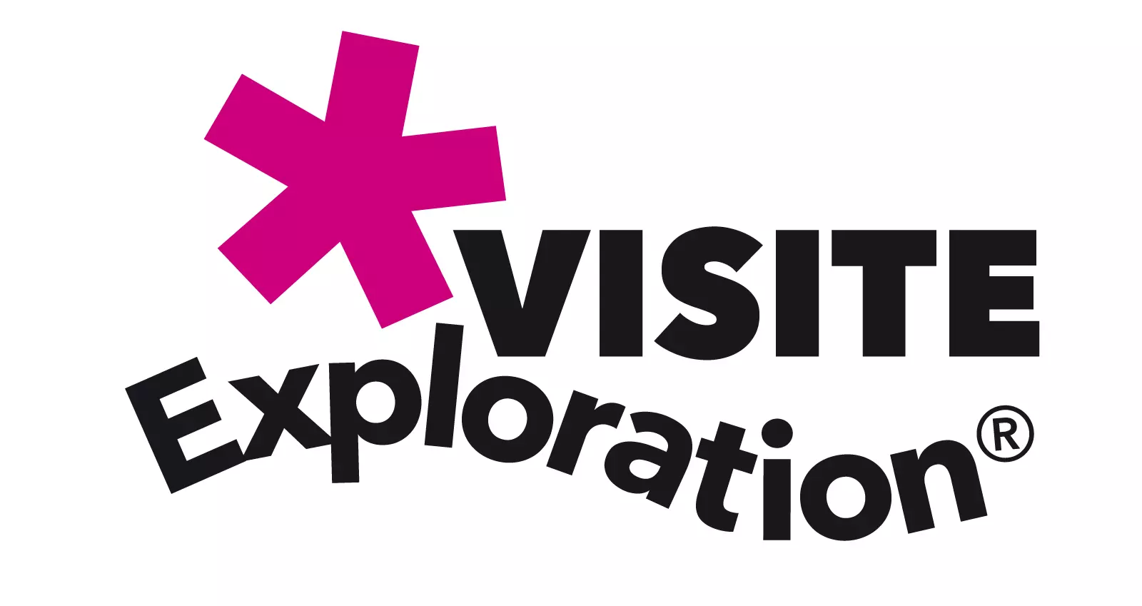 log Tams Aventure Visite OK