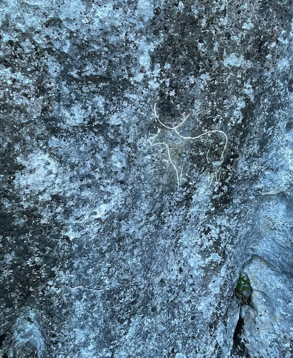 Capture d’écran 2024-09-05 à 14.18.46_resultat